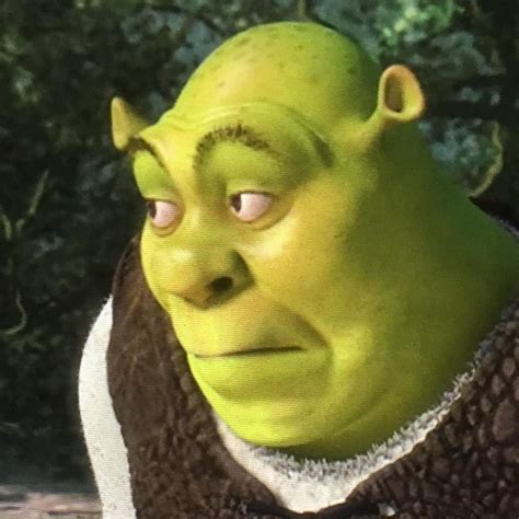 shrek smirk|funny shrek gif.